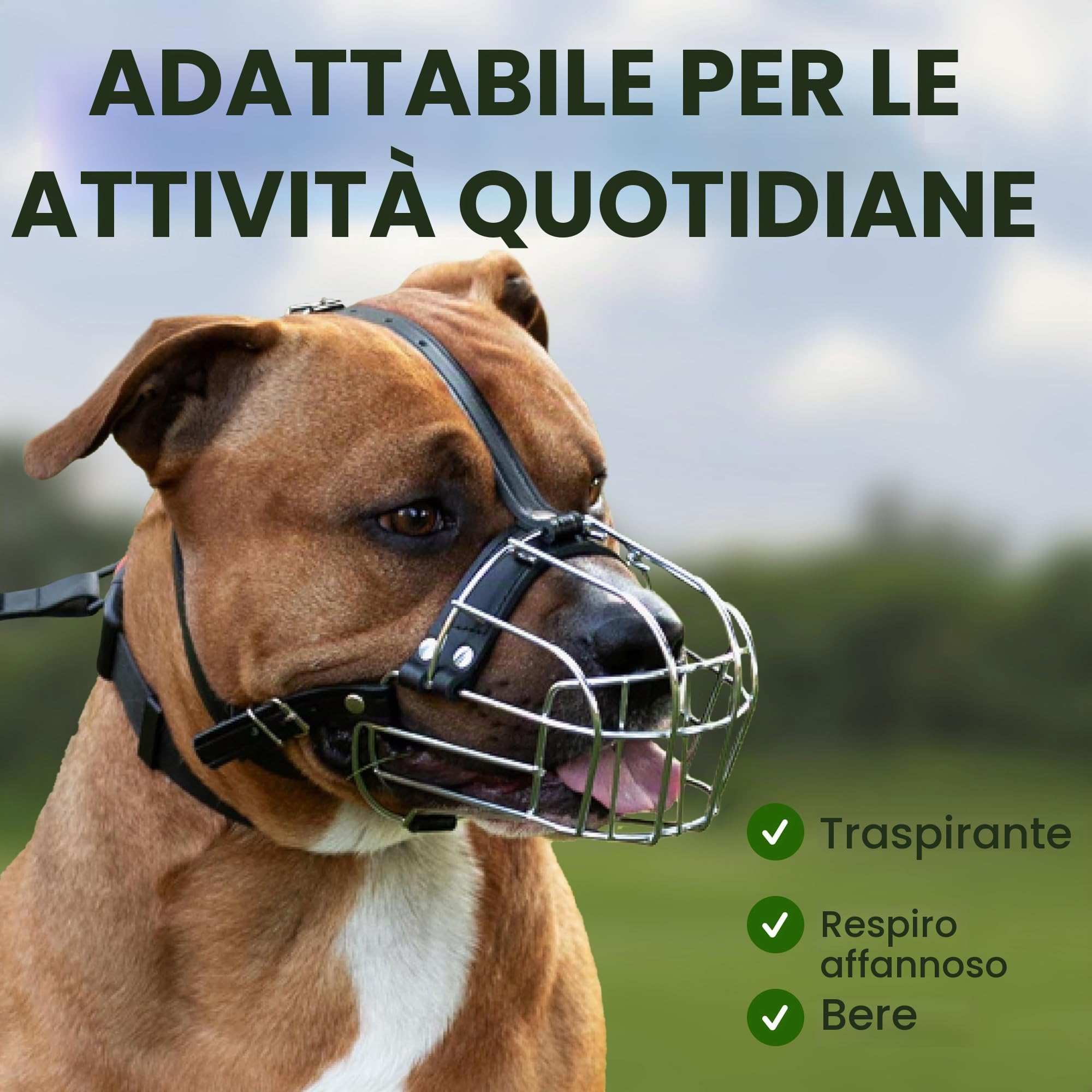 BronzeDog Amstaff - Museruola per cani con maschera metallica e cinghie regolabili in pelle per cani di taglia grande