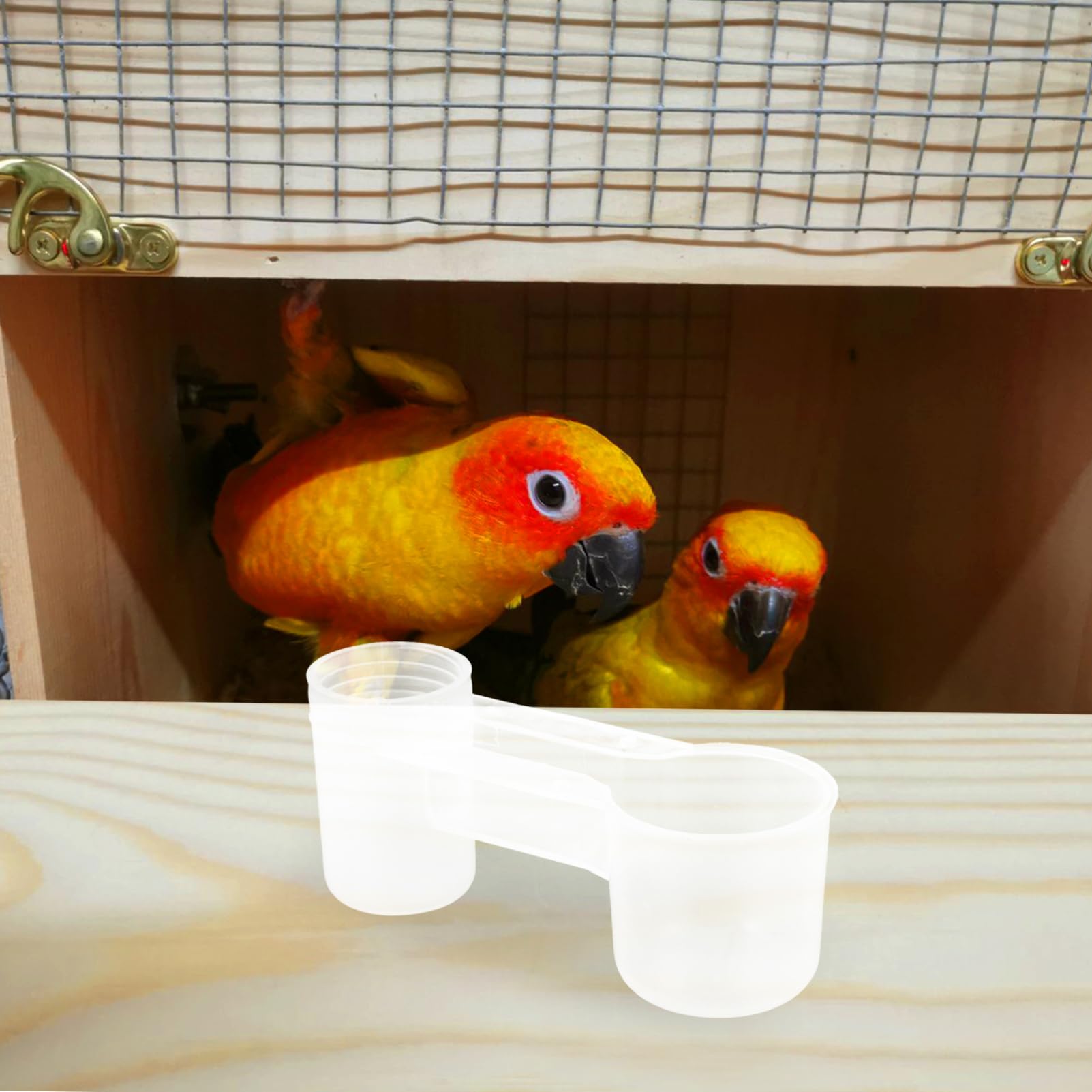 Bevitore Automatico per Uccelli Doppia Uscita in Plastica Bianca, Resistente e Non Facile da Rompere, per Uso Domestico in Zoo