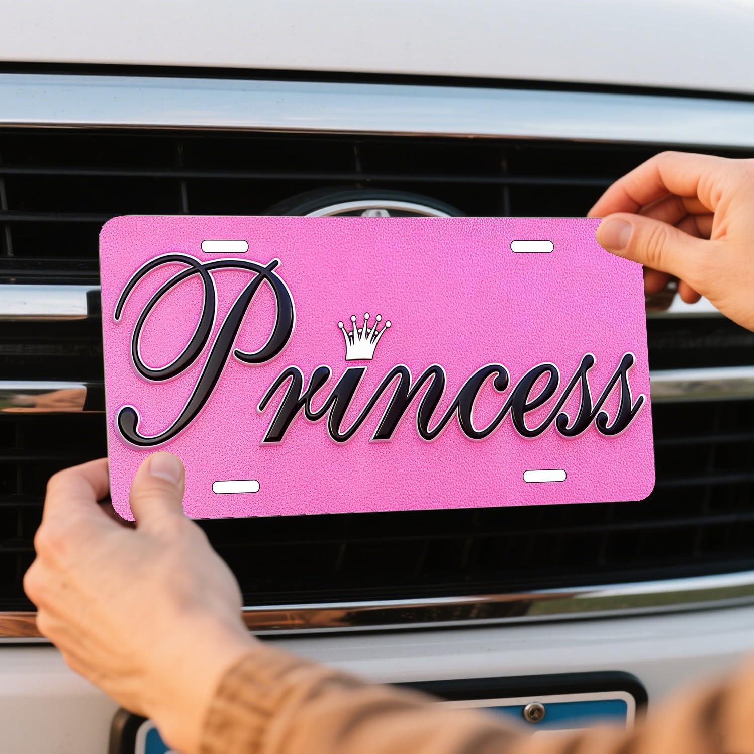 Princess with Crown Metal License Plate - Pink Novelty Vanity Tag for Girls & Women - Royalty Themed Auto & Wall Decor, 6x12 Inch 4 Holes (LVCP25109021)