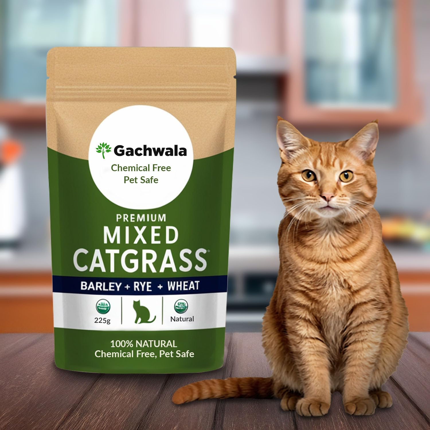 Gachwala Premium Mixed Catgrass Refill Pack (Barley + Rye + Wheat) 225gm | Organic Blend for Healthy Cats | Perfect for Digestion & Nutrition 100% Natural Pet Safe | Cat Grass Seeds