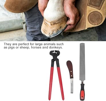 Easy Cutting Farrier Tool Kits, Steel Horse Farrier Hoof Tool Kit, High Hardness, Professional Horse Farrier Tool Kits with Hoof Knife, Hoof Pliers, Hoof File, Hoof File Handle