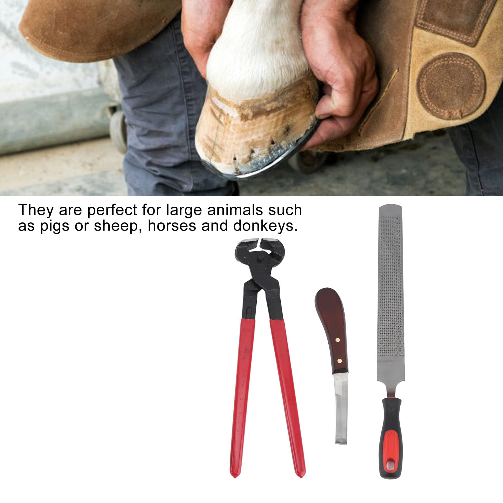 Beufee Farrier Tools, Goat Hoof Trimmer Kit Horse Hoof Trimming Tools Horse Farrier Hoof Trimmer Tool Kit Horses Hoof Trim Set