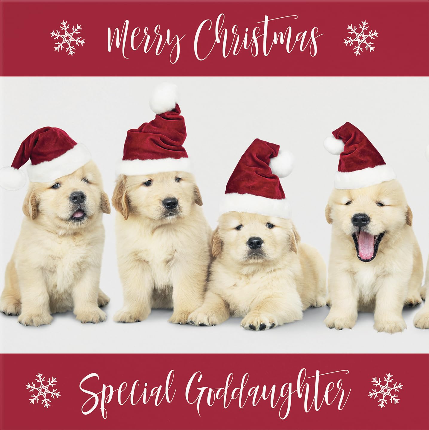 Hunts England - Goddaughter Christmas Card - Special Goddaughter - Puppy Collection - Fun Xmas Card, Red, 148 x 148 mm - Image 2