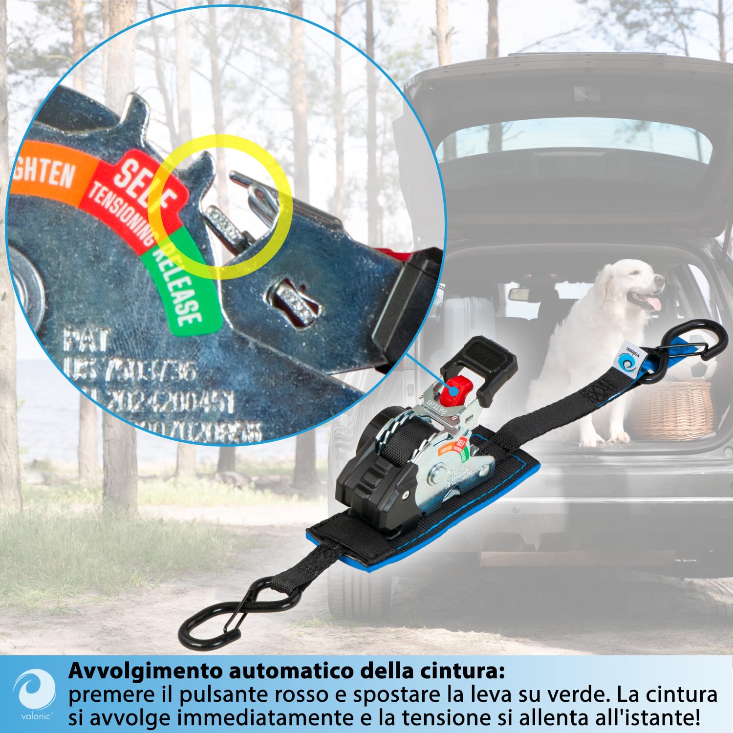 valonic FOX 2 m, mini cinghie a cricchetto, per fissaggio in furgone, set da 2, 150 kg forza di serraggio, 19 mm, cricchetto gommato