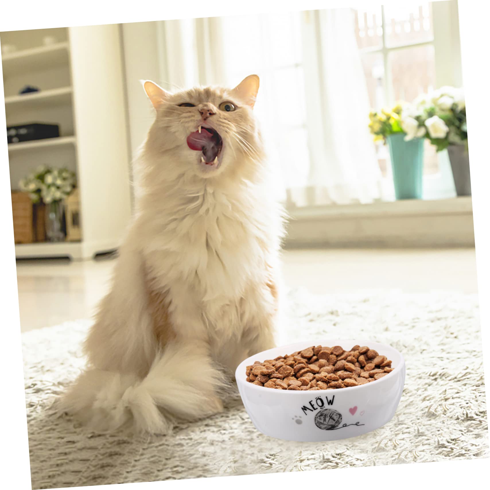 Cuenco De Comida para Gatos y Gatitos De Cerámica Antideslizante, Diseño De Dibujos Animados, Tamaño Mediano, Apto para Alimento Seco y Húmedo, Uso Doméstico para Mascotas Pequeñas
