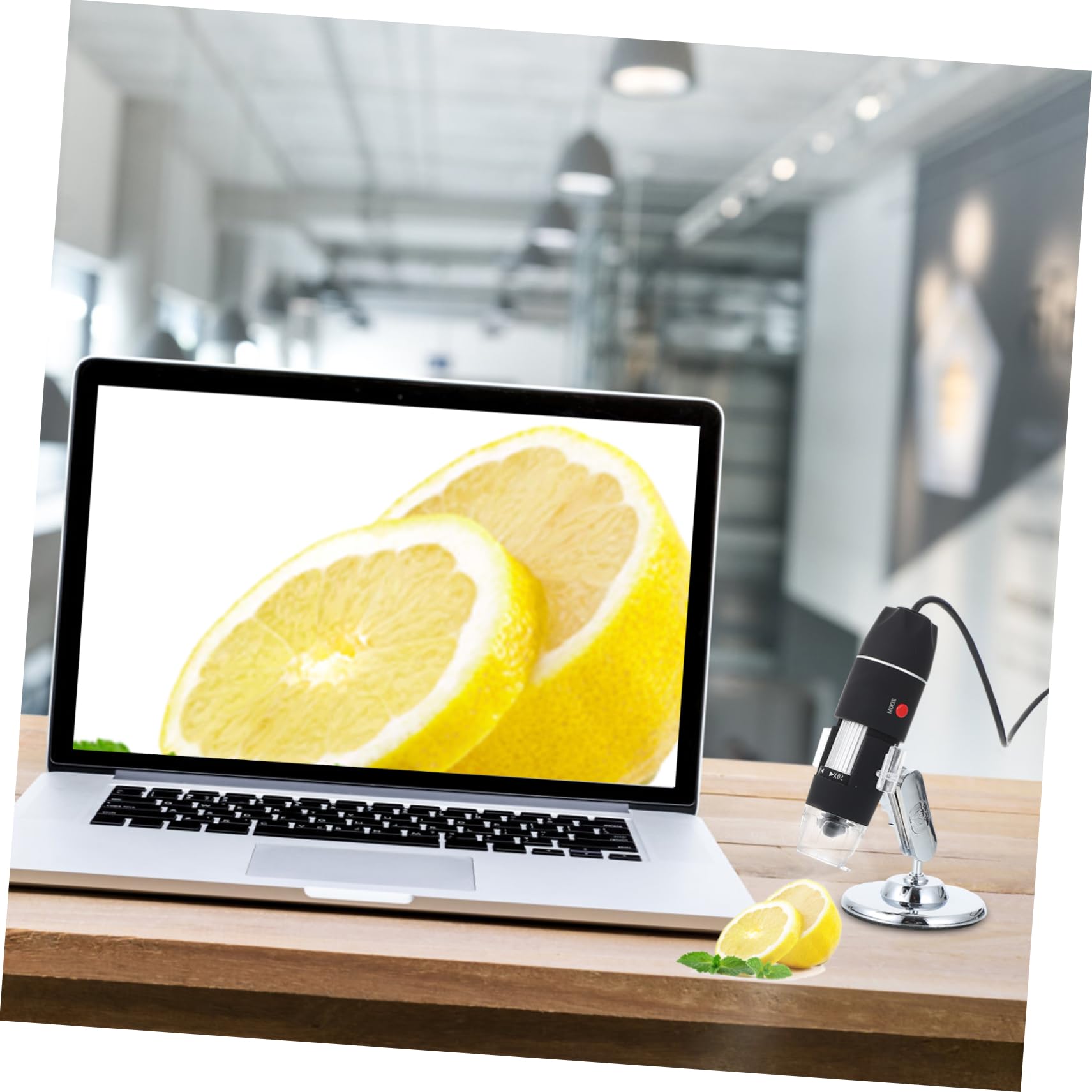 Angoily Science Digital Microscope High-Definition Display Observation Magnifier Detect Magnifying Microscope for Classroom Home Use