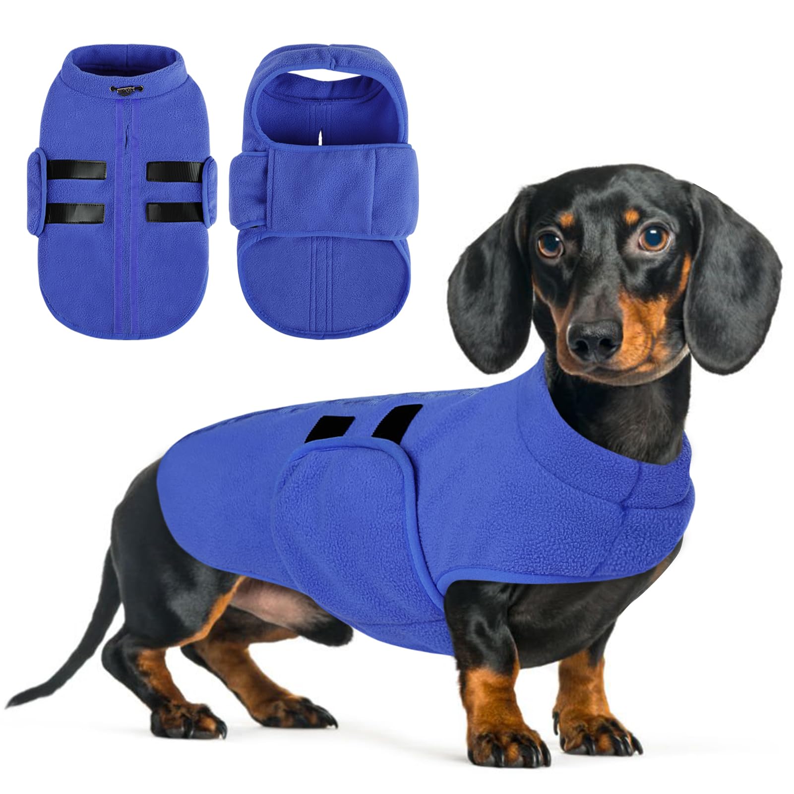 Manteaux d'hiver pour chiens Teckel et Chihuahua bleu veste M