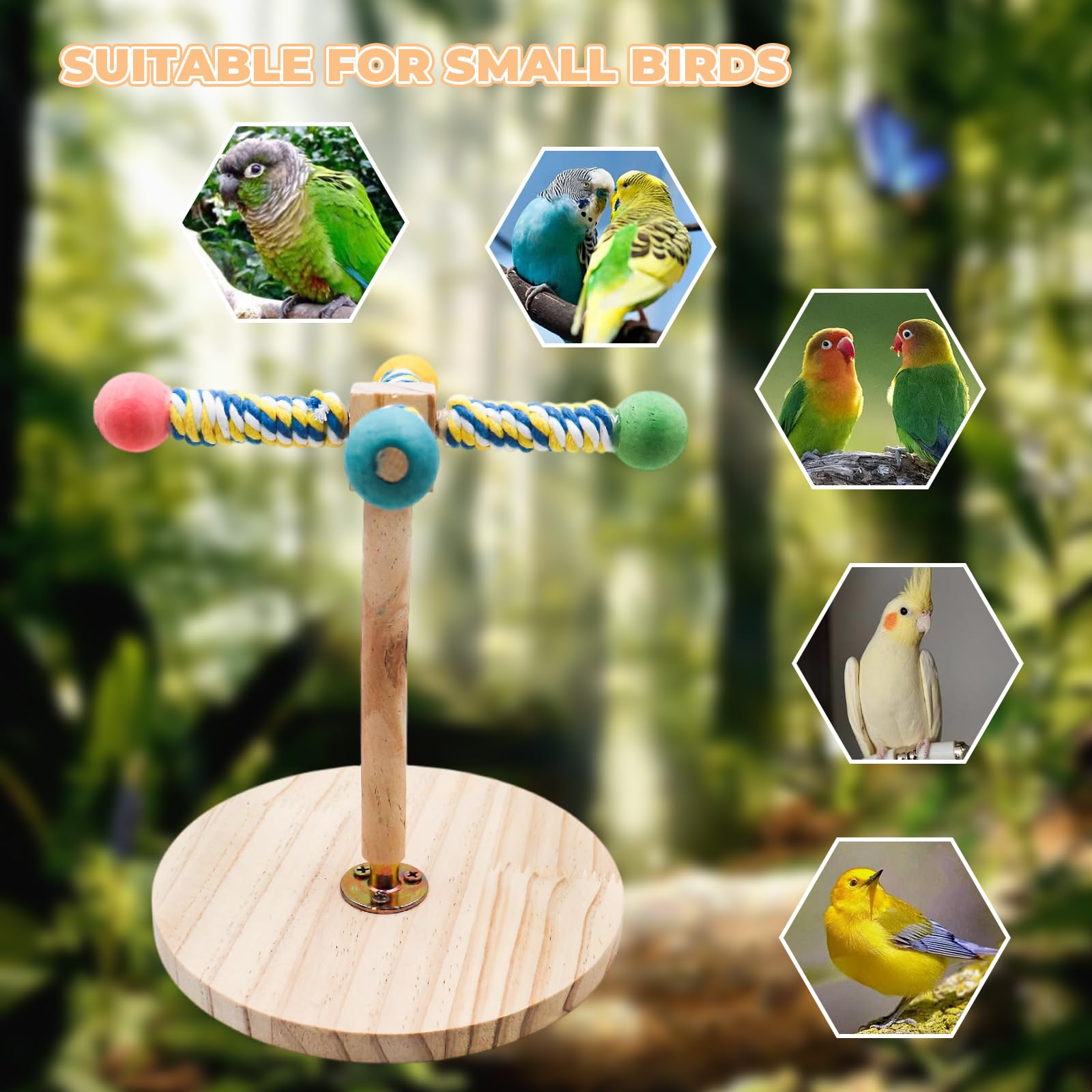 Perchoir rotatif en bois interactif avec base pour perruches, calopsittes, inséparables, canaris, conures, pinsons, perroquets, autres petits oiseaux