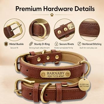 Leather Dog Collar Personalised and Leash Set, Personalized with Soft Padded Design Heavy Duty Featuring Custom Engraved Name Plate for Small Medium and Large Dogs