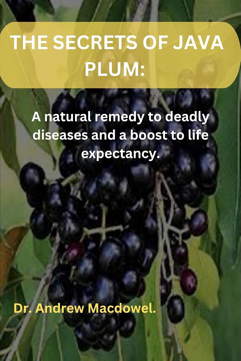 Java Plum Extract Amazon | THE SECRETS OF JAVA PLUM: A natural remedy to deadly diseases ...