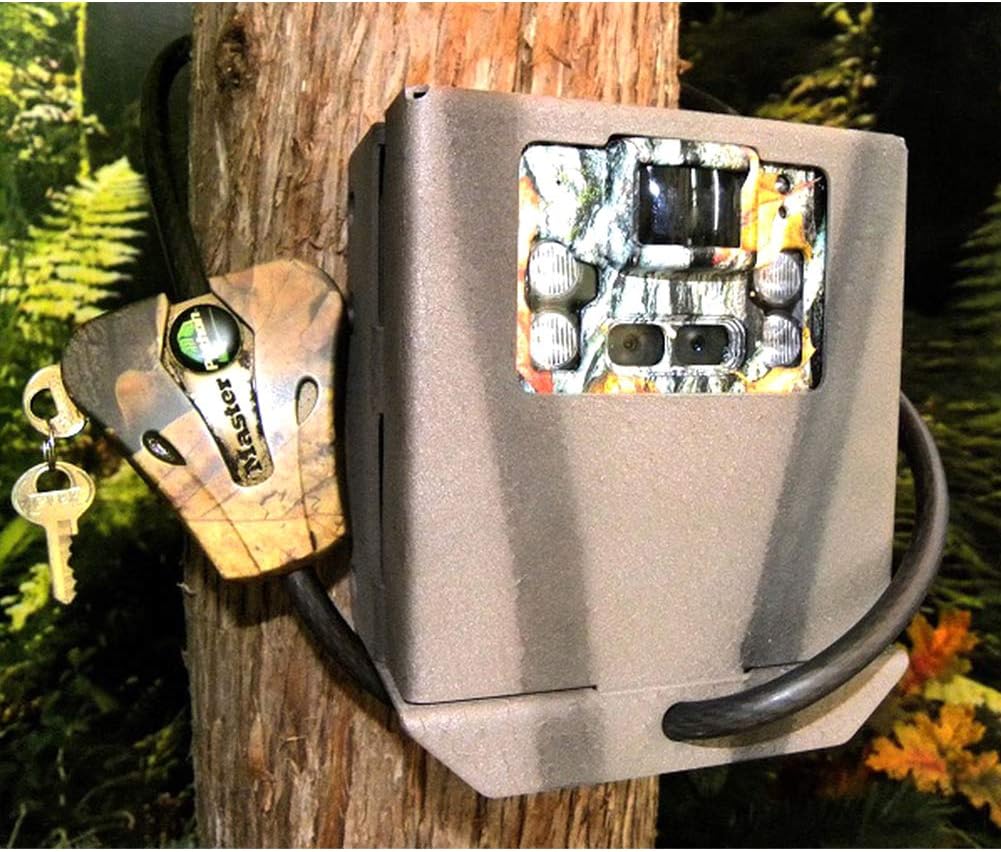 Camlockbox security box installed on a tree with a Browning trail camera inside and secured with a Master Lock Python cable lock.
