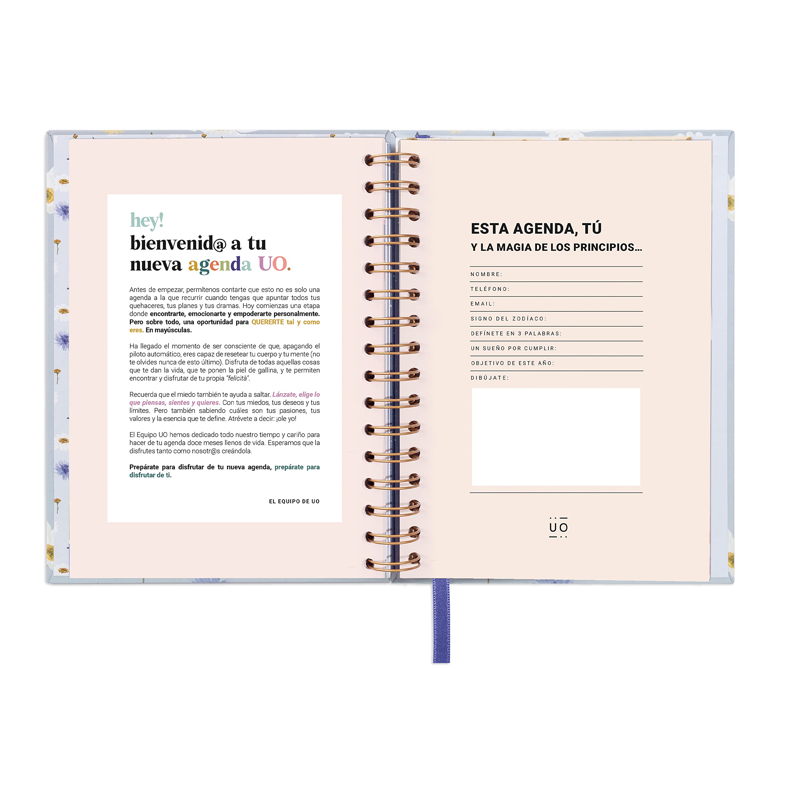 UO Camomile Day Page 2023 Annual Diary: Starts in January 2023 and Ends in December 2023, Hardcover, Includes 126 Stickers - Image 3
