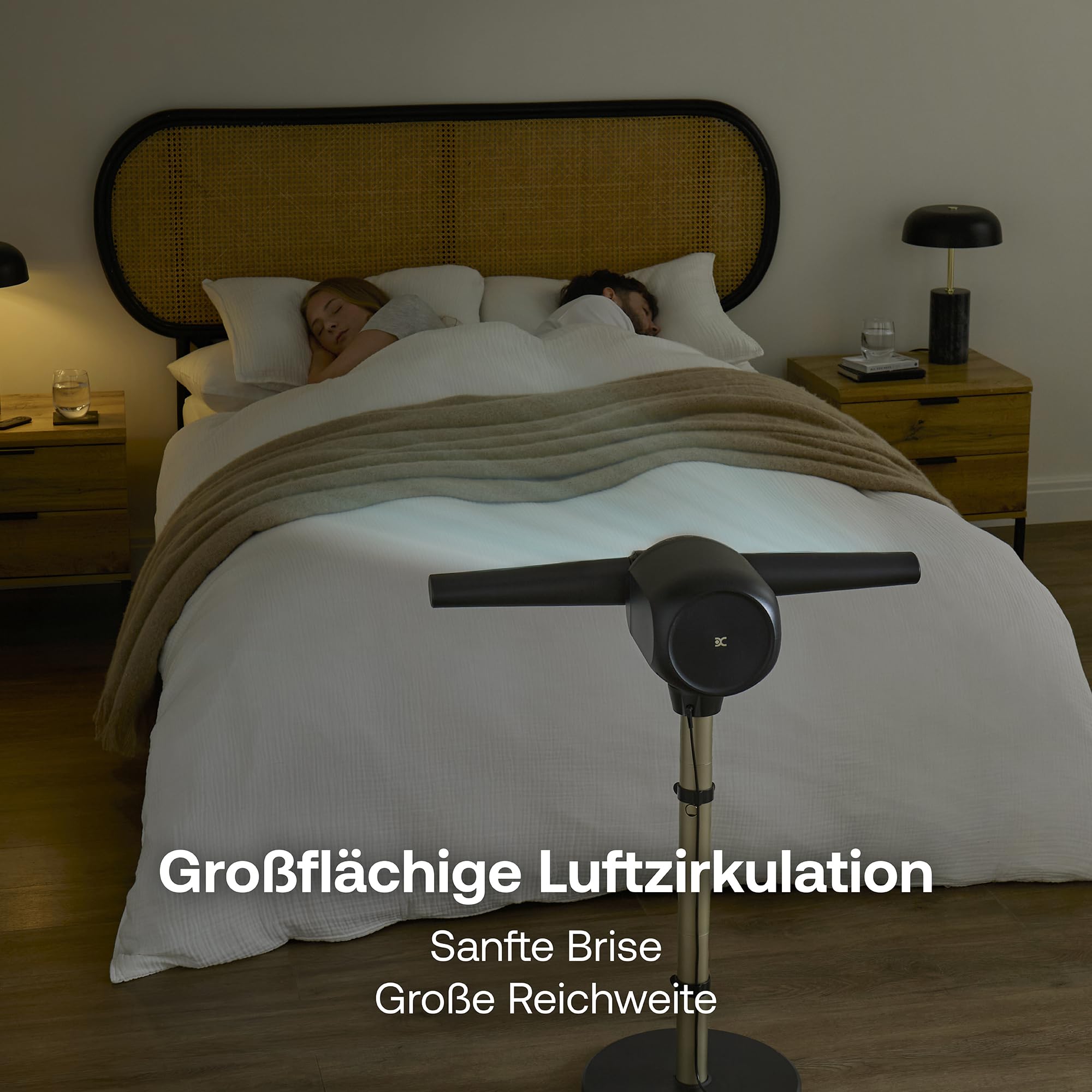 DIMPLEX FlexBlade Flügelloser Standventilator, Zwei-Wege-Kühlung 2×180°, Oszillierend 90°, 20m Reichweite, 36dB, Magnetische Fernbedienung, 5 Geschwindigkeitsstufen
