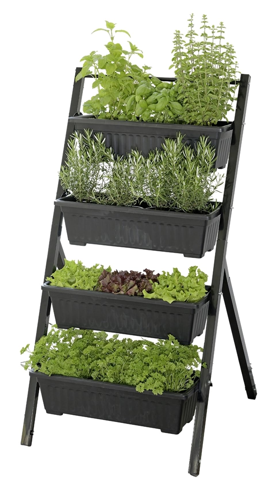 Maximex Lit surélevé Jardin Vertical 4 Niveaux pour Balcon et terrasse bacs Amovibles Plastique résistant aux intempéries 56,5 x 108 x 62 cm Noir