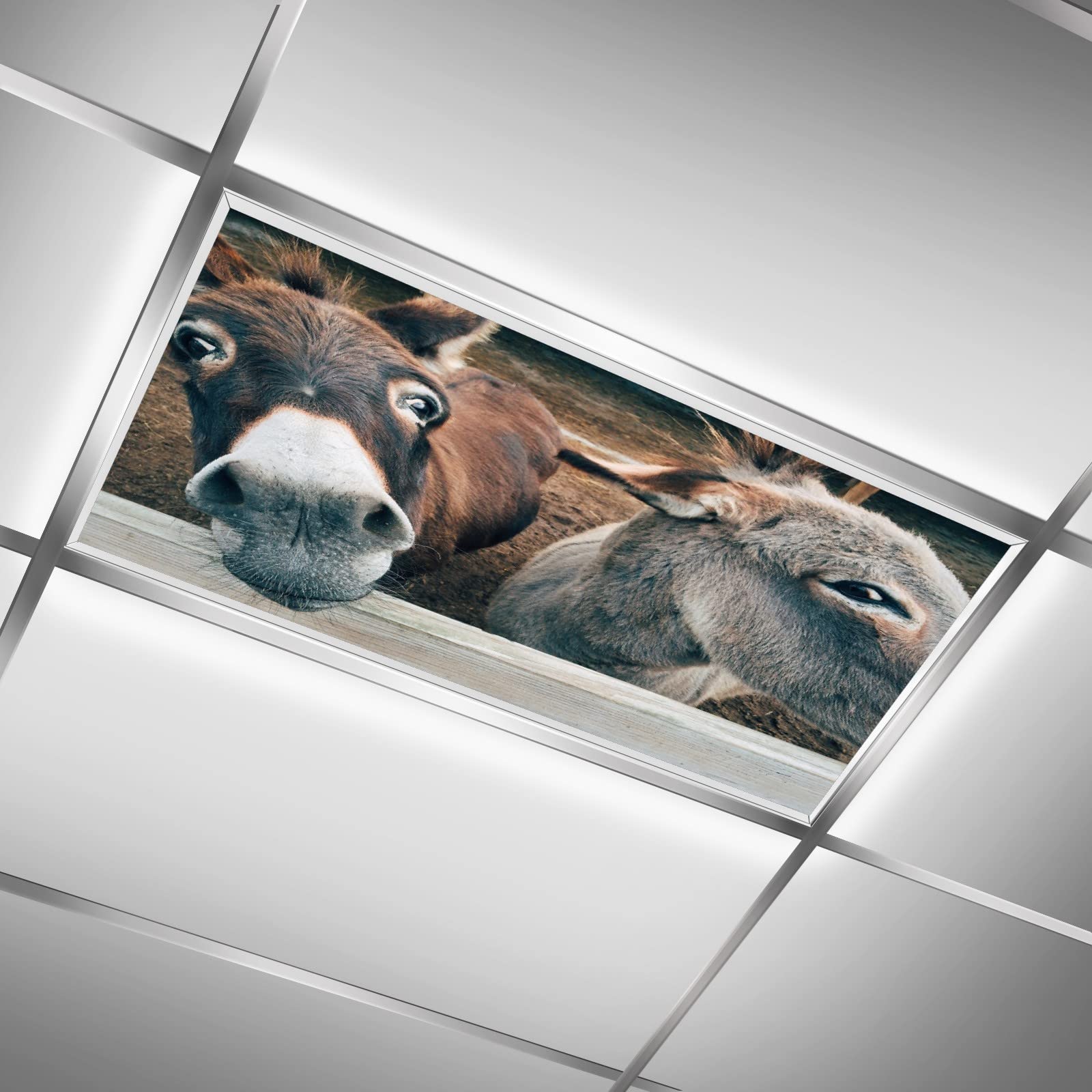 ZGONOHYE Ceiling Fluorescent Light Covers for Classroom Office Funny Donkey Animal Decorative Ceiling Light Coverings Skylight Film Filter Reduce