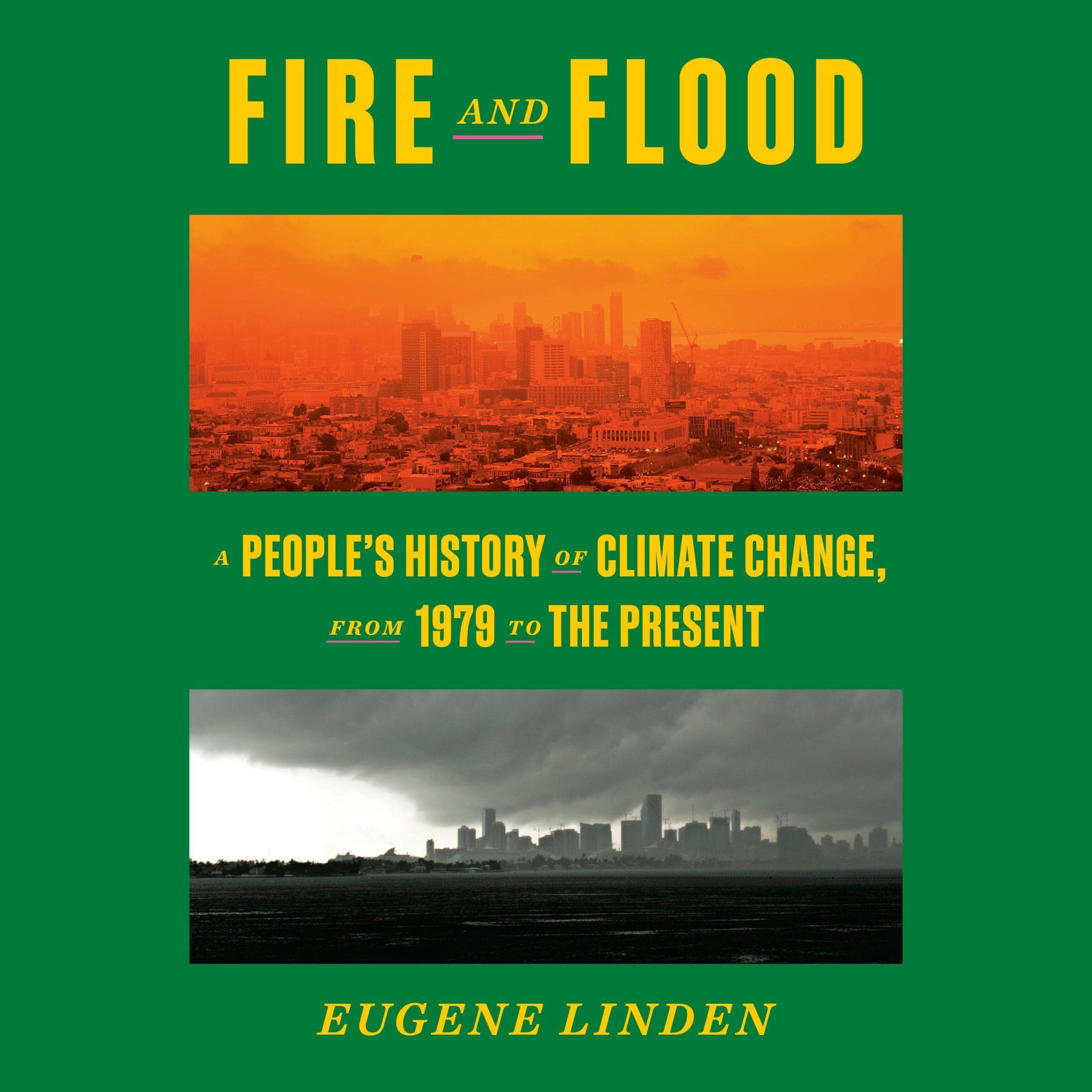 Cover art for Fire and Flood