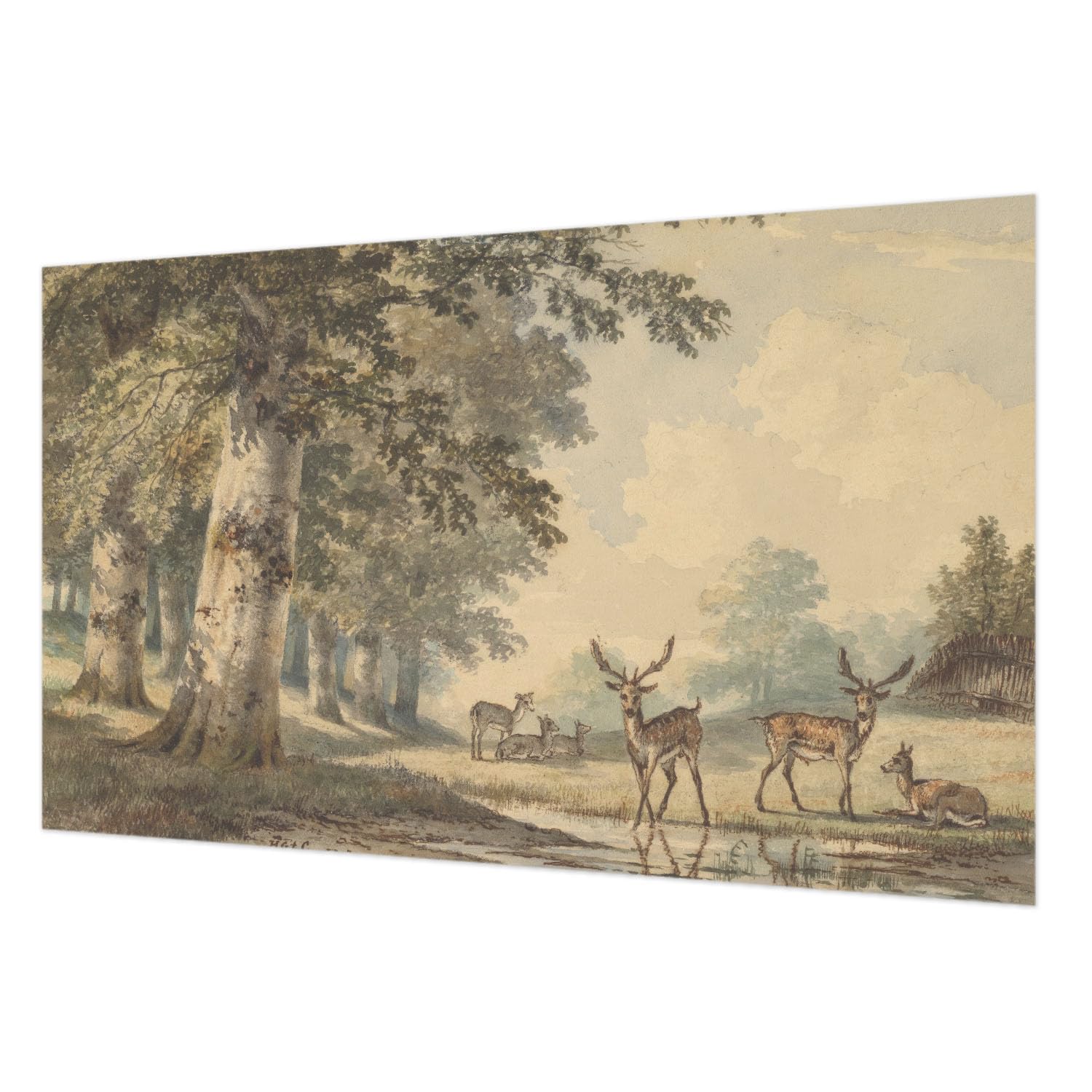 Papier peint forêt 416x254 décoration murale salon pose facile