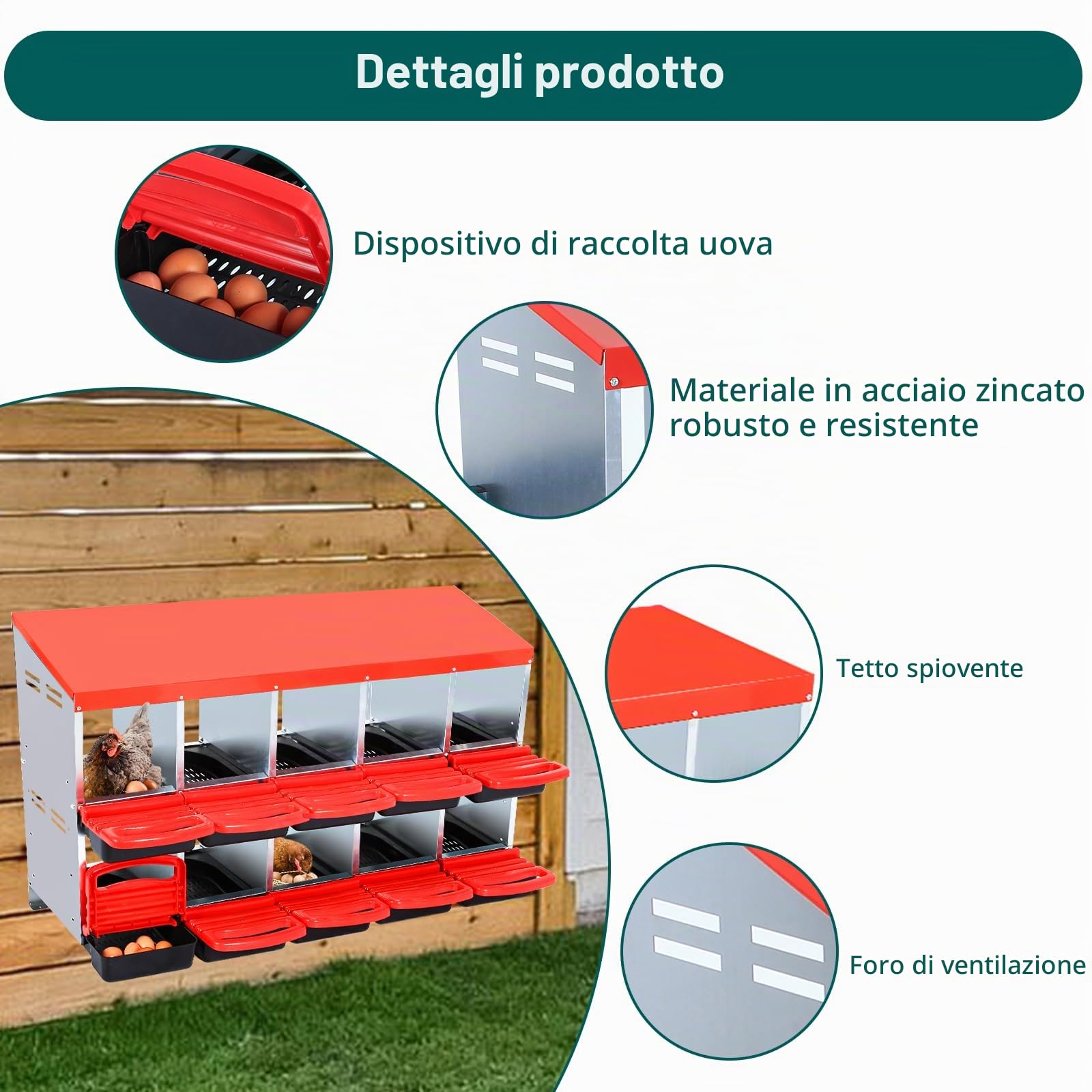 Nido Professionale Per Galline – 8/10 Scomparti in Metallo, Montaggio a Parete, Cassetti Estraibili, Facile Pulizia, Protezione Ottimale Delle Uova – Ideale Per l’Allevamento e