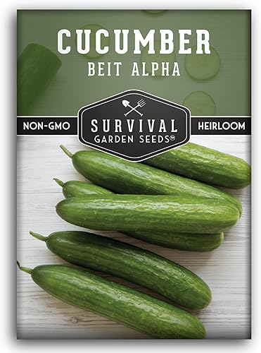 Miniatura 10 de Survival Garden Seeds - Semilla de pepino alfa Beit para plantar - Paquete con instrucciones para plantar y cultivar pepinos verdes lisos sin