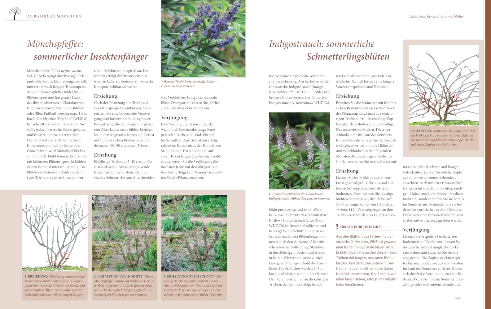 Das große GU Praxishandbuch Pflanzenschnitt: Pflanzen richtig schneiden – Tipps für Obstbäume, Ziergehölze und Stauden (GU Gartenpraxis)