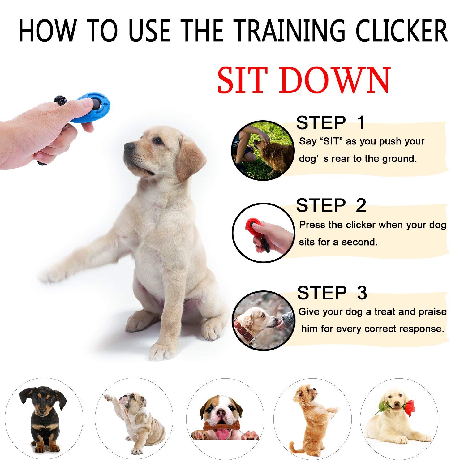 How Do Clickers Work For Dogs