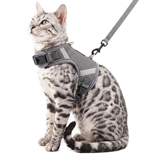 pangdi Hook & Loop with Buckles Cat Harness (Grey, XL)