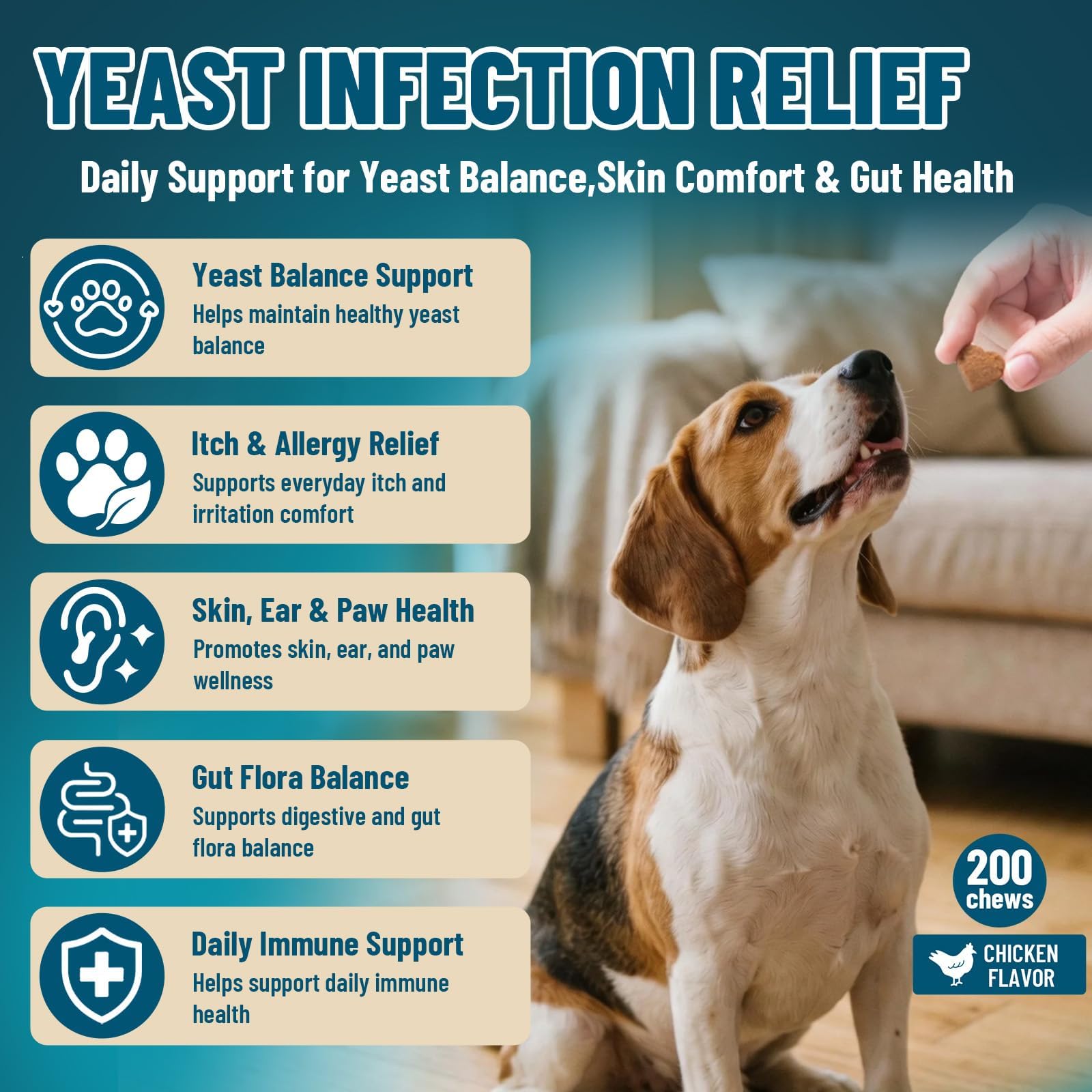 View 2