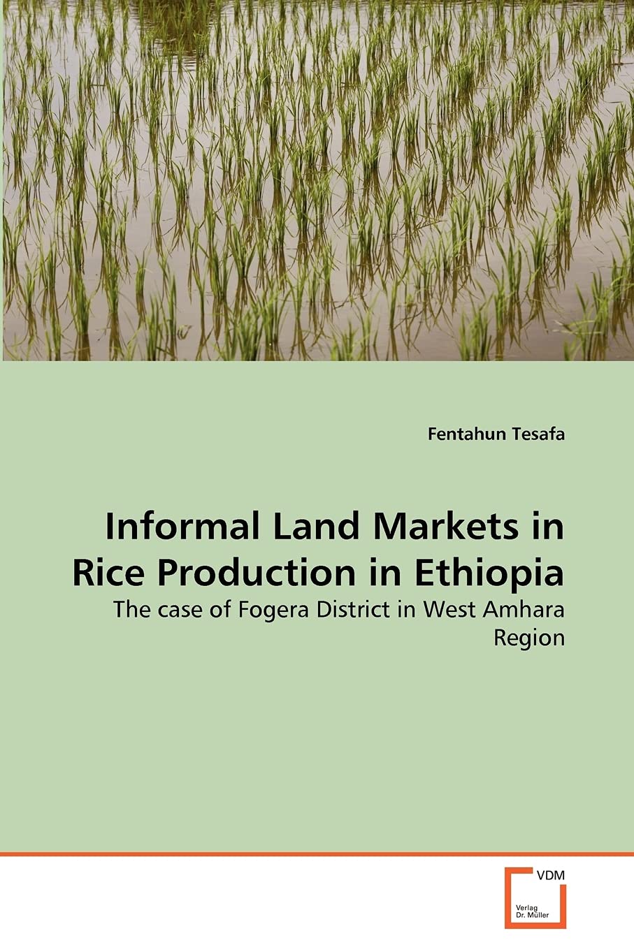 Informal Land Markets in Rice Production in Ethiopia