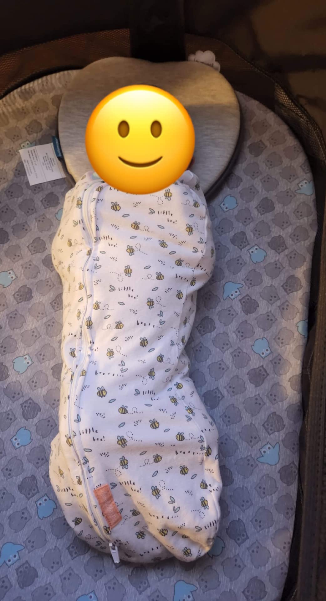 SwaddleMe Pod Size Small/Medium, 02 Months, 2Pack (Little Bees) No