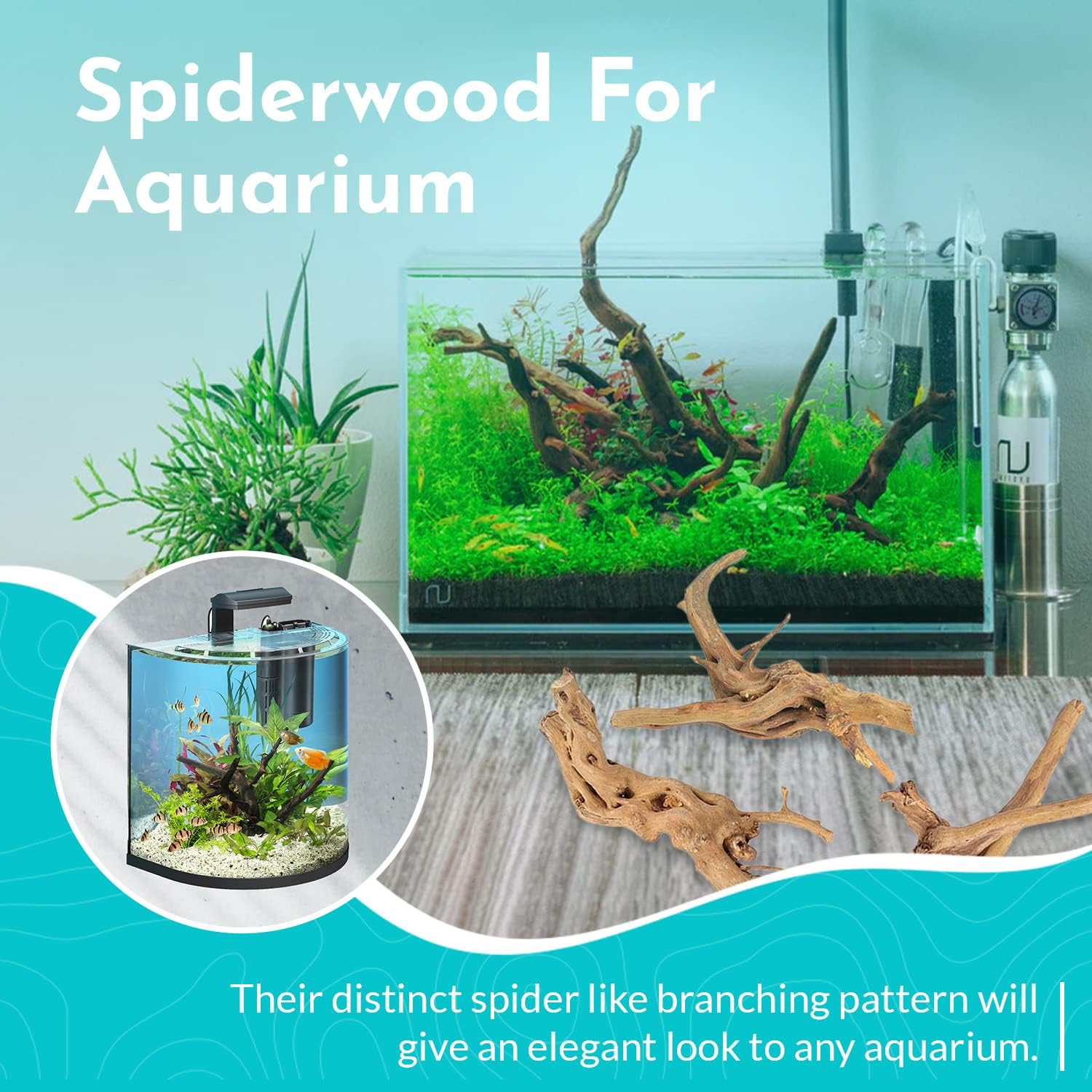 Aquarium Hardscape Decoration Spider Wood - All Natural & Organic Aquarium Wood for Tanks - Best for Hiding Spots - Extra Large Driftwood for Aquariums - 18 to 24 Inches (X-Large)