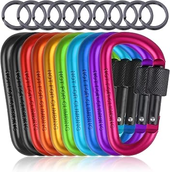 LATERN 20Pcs Locking Carabiner Clips, 8CM Aluminum D-Ring Keychain Clips Locking Security Carabiner with 20Pcs Key Rings for Outdoor Camping Fishing Hiking Backpacking 10 Colors