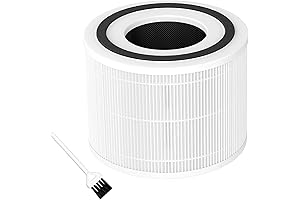 Core 300-P Replacement Filter