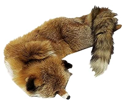 Amazon.co.jp: ラクーン狸タヌキ毛皮テッペットマフラー犬の遊び