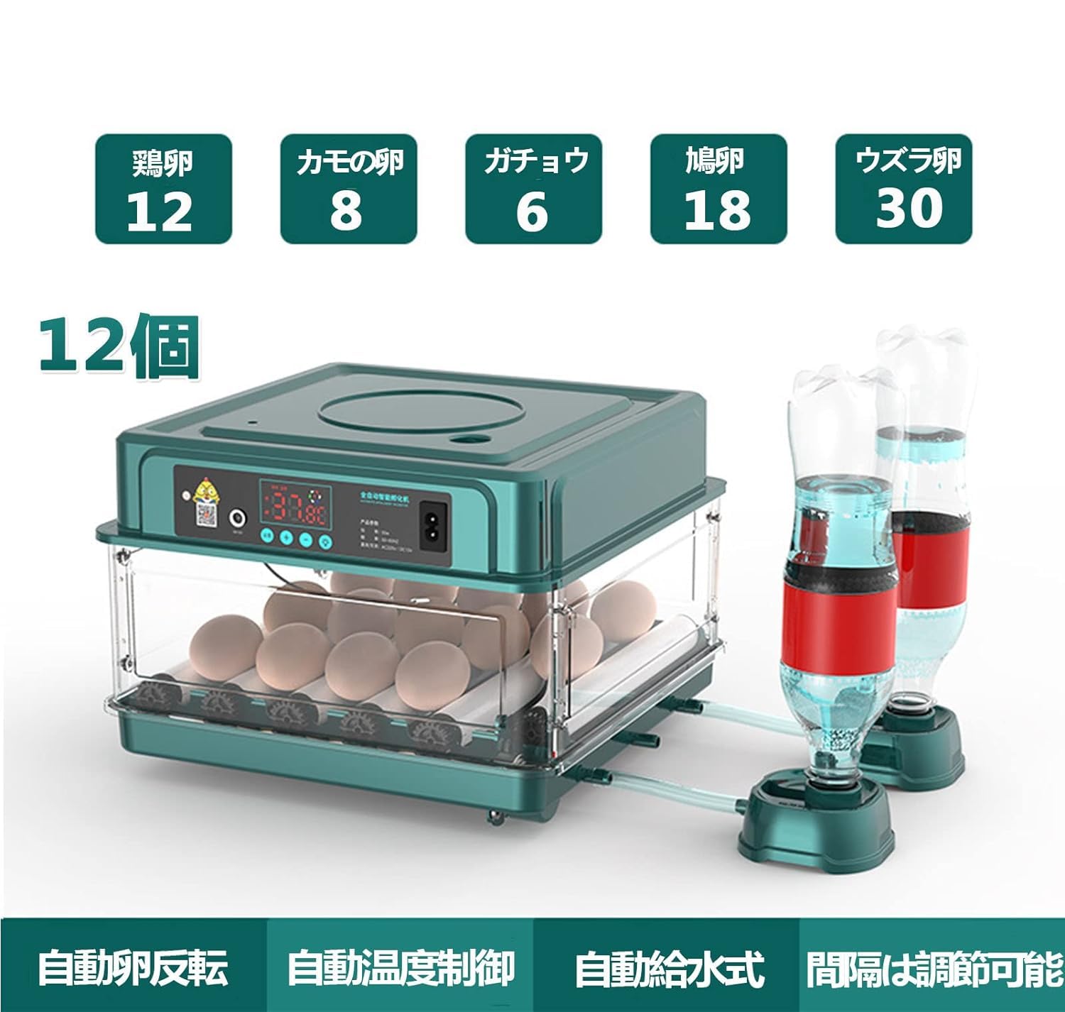 Amazon.co.jp: 自動孵卵器、自動孵卵器、孵卵器、自動転卵、保育