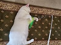 Review Image by J. Andress J. Andress