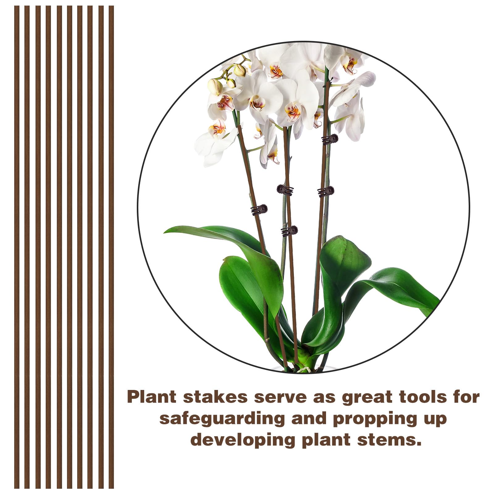 Moageme 6 pali di supporto per piante, supporto per piante da giardino, con stelo singolo, amarillide, supporto per piante, bastoncini per fiori, rosa, pomodori, giglio, peonia (80 cm