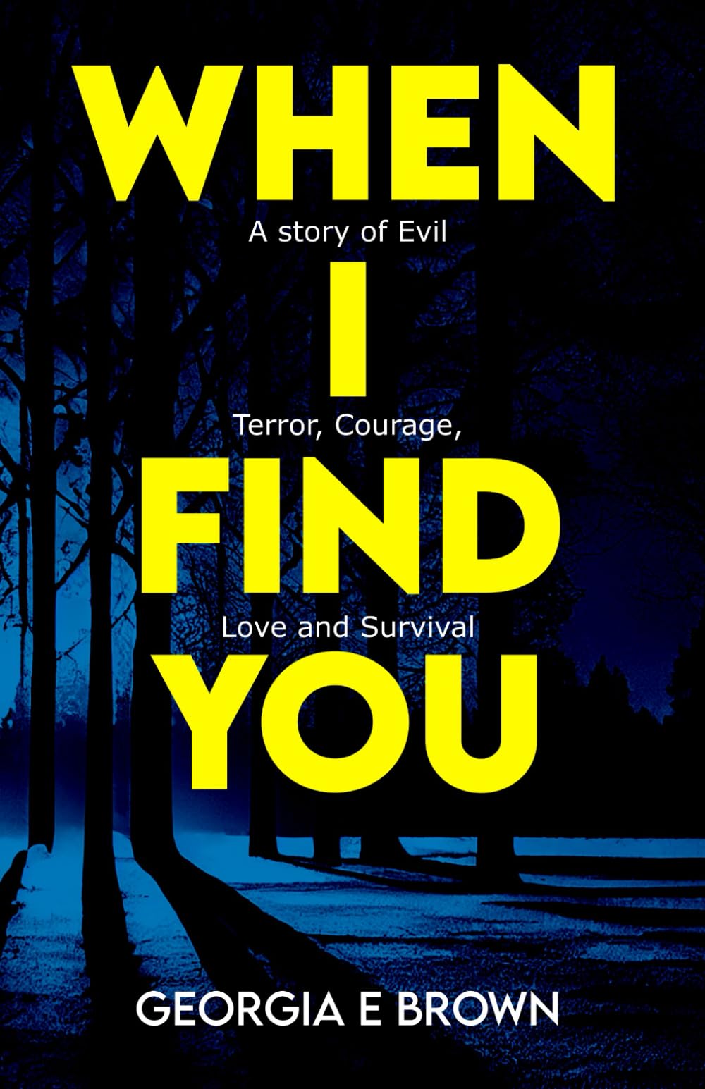 When I Find You: A Story of Evil, Terror, Courage, Love and Survival