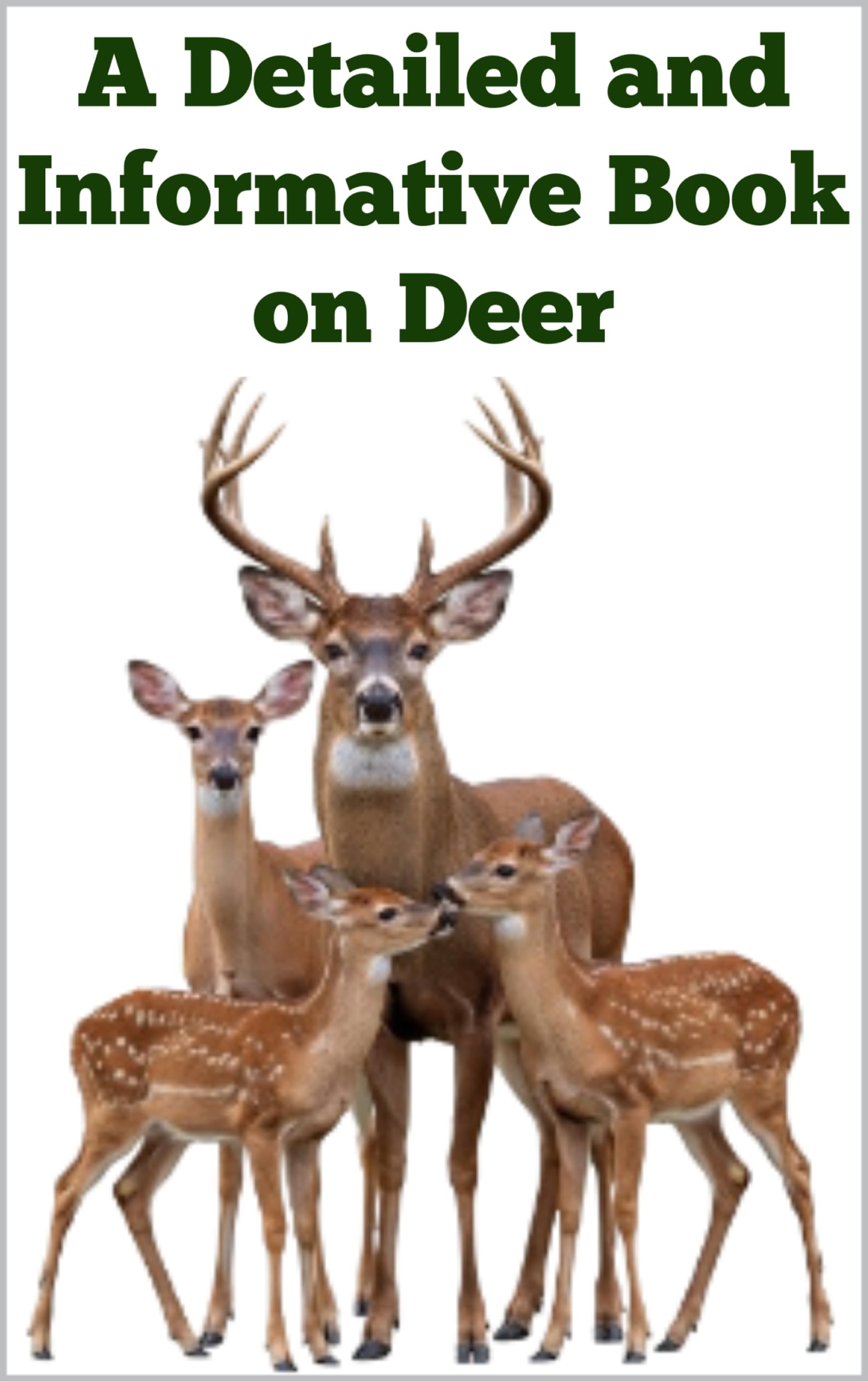 A Detailed and Informative Book on Deer