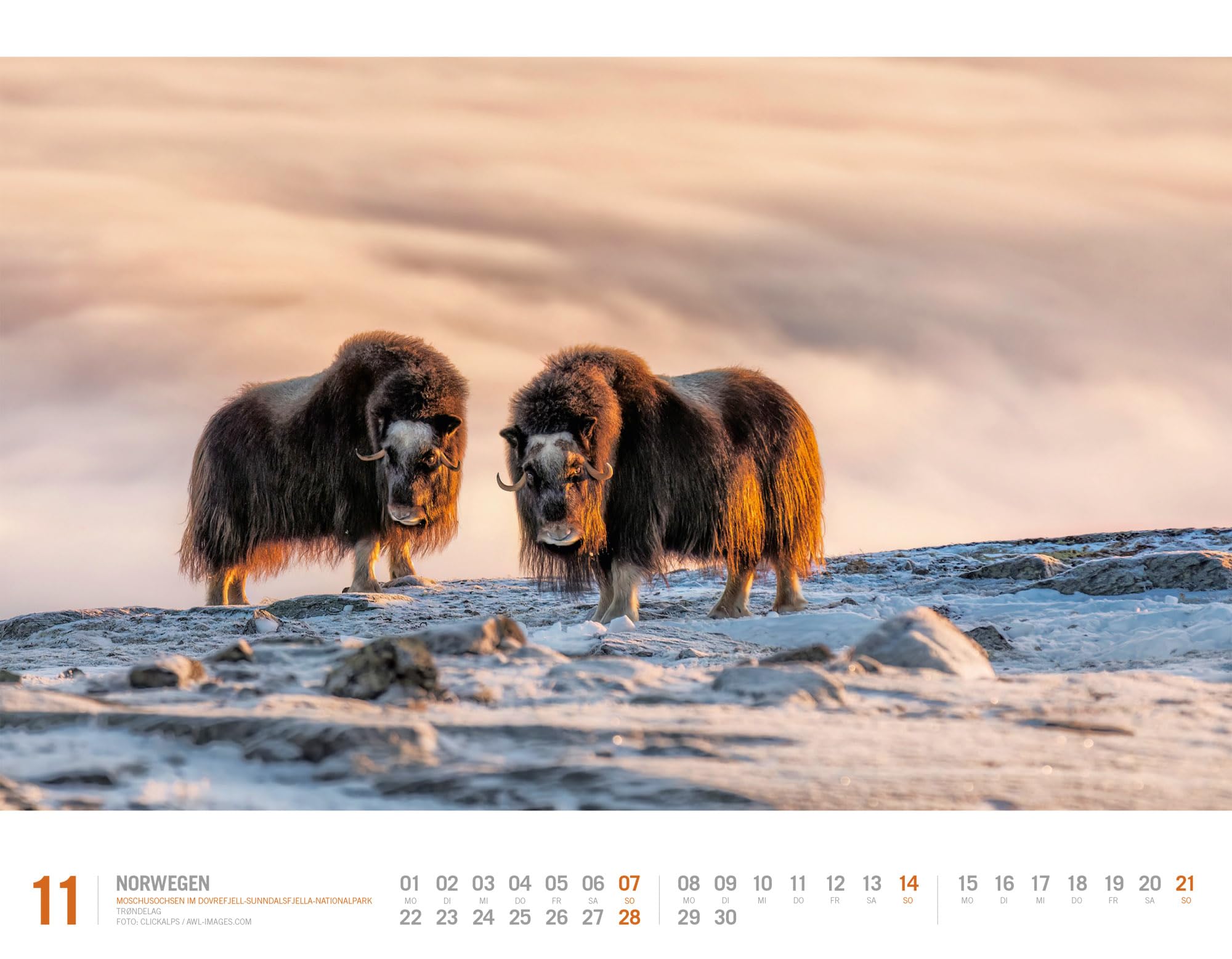 Norwegen Kalender 2027 | Unterwegs zwischen Fjordland und Nordkap | Imposanter Reise-Kalender im großen Querformat (54x42 cm) | Skandinavien