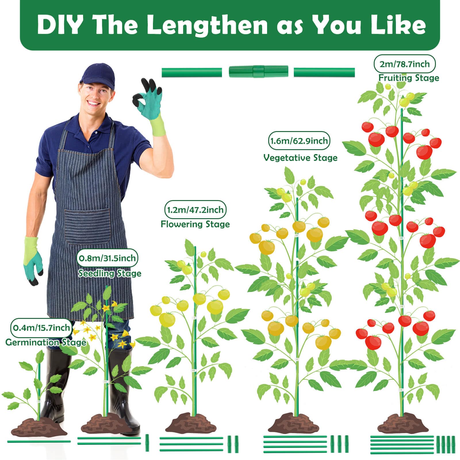 Cludoo Juego de 232 estacas de jardín con 70 juegos de estacas de fibra de vidrio para plantas, soportes y accesorios, 1.2 m, 1.5 m, 1.8 m, 2.1 m, para tomate, verduras, pimiento, vallas, plantas de