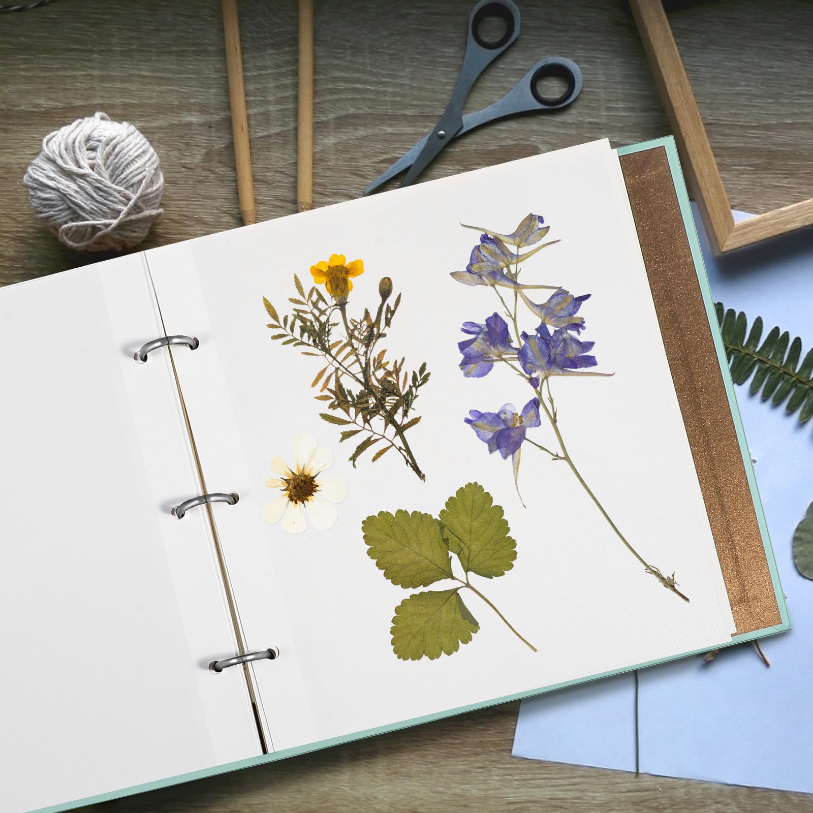 Adorainbow Herbarium Album mit Selbstklebendem Papier und Flexibler Aufbewahrung für Gepresste Blumen Lose Blattstruktur und Einzigartiges Selbstgemacht Design für Studio und Schule Küche, Haushalt & Wohnen