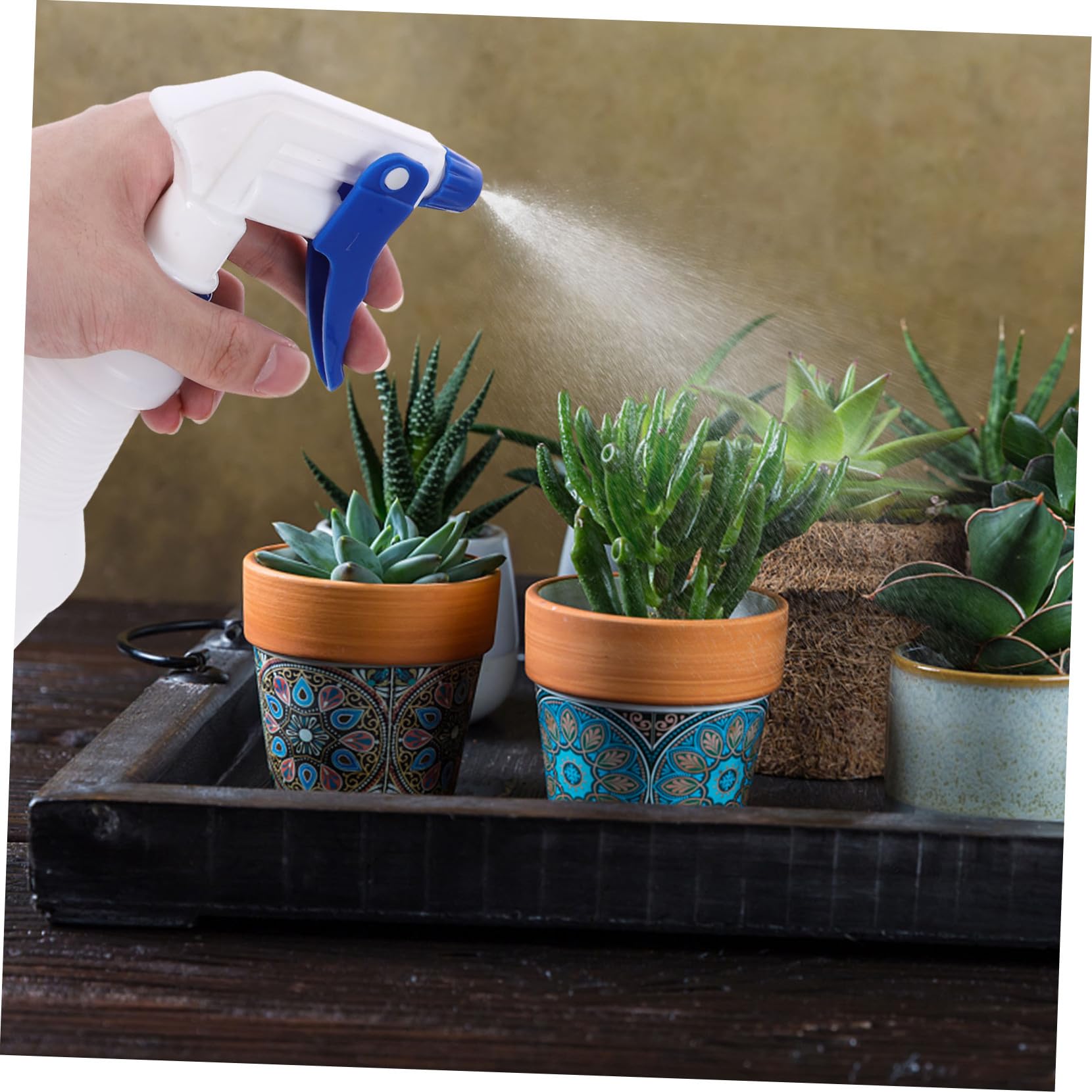 VALICLUD Botellas de Spray Pequeñas de Plástico Recargables 8 Piezas 750 Ml Rociador de Agua para Salón y Riego Plantas sin Fugas Diseño Ligero Color Aleatorio