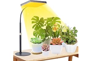 FECiDA Table Top Grow Lights for Indoor Plants Do Wonders