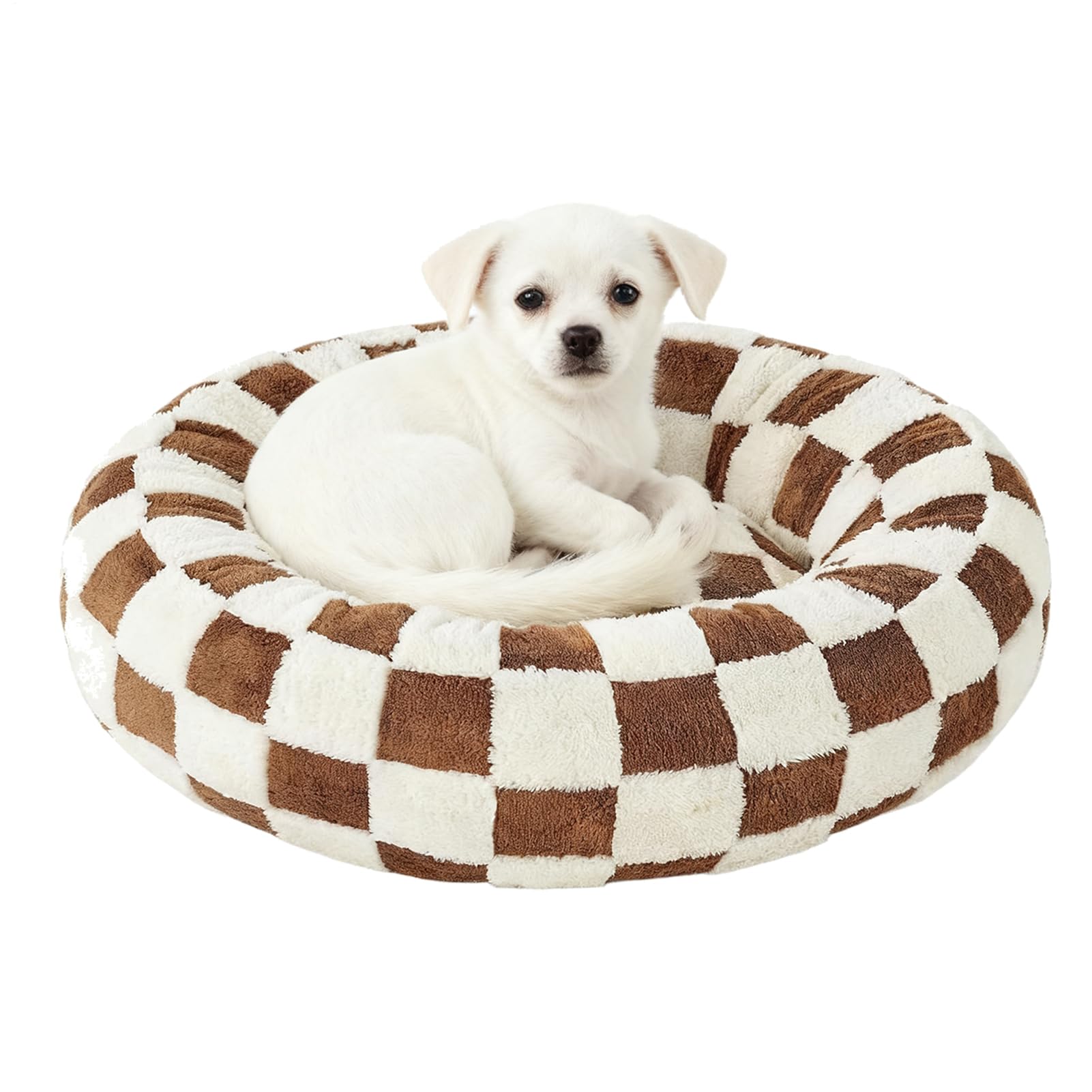 Lit rond pour chat design nid haut de gamme comme une chaise de salon