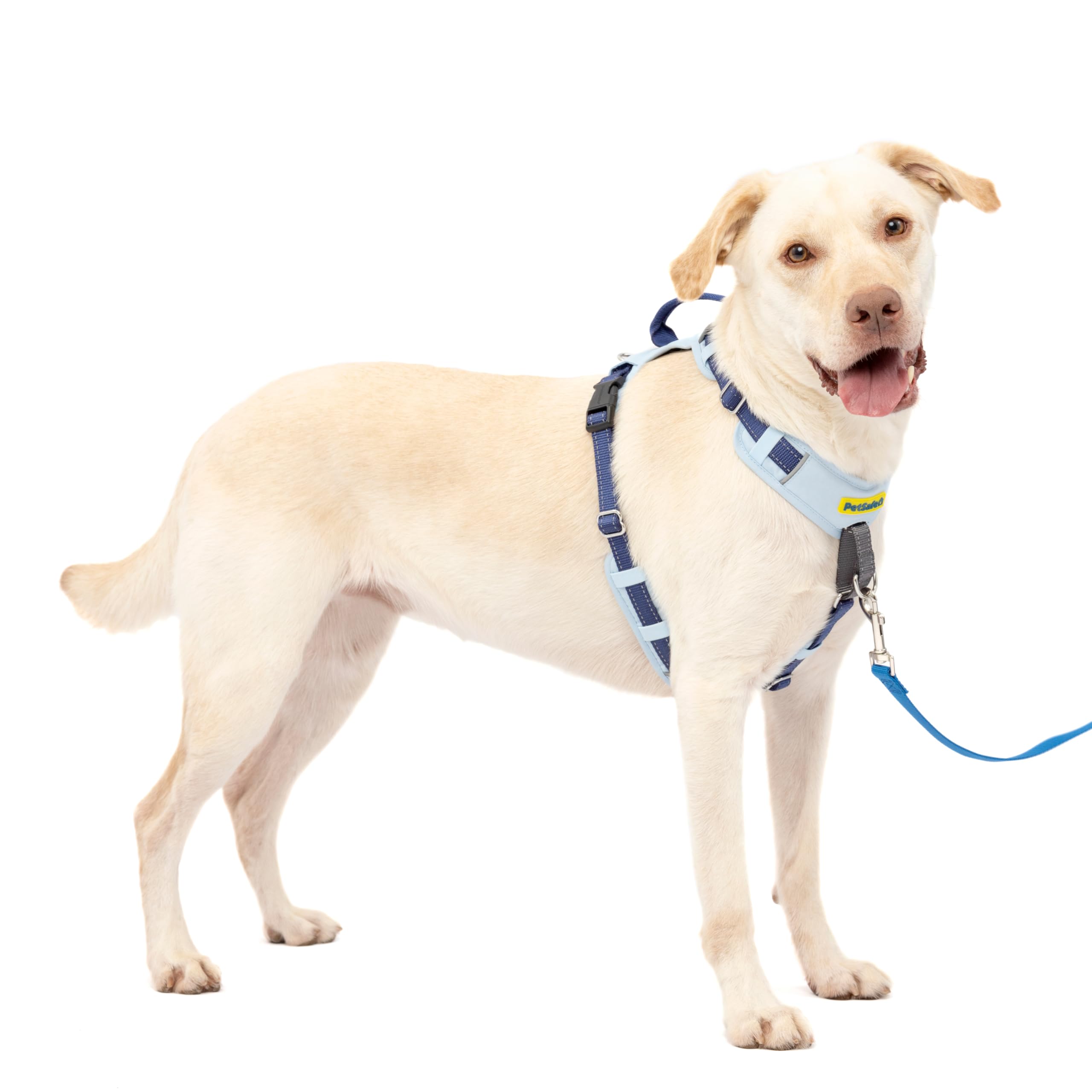 Petsafe Easy Walk Harness Vibrant Life Pull Control Leash PetSafe