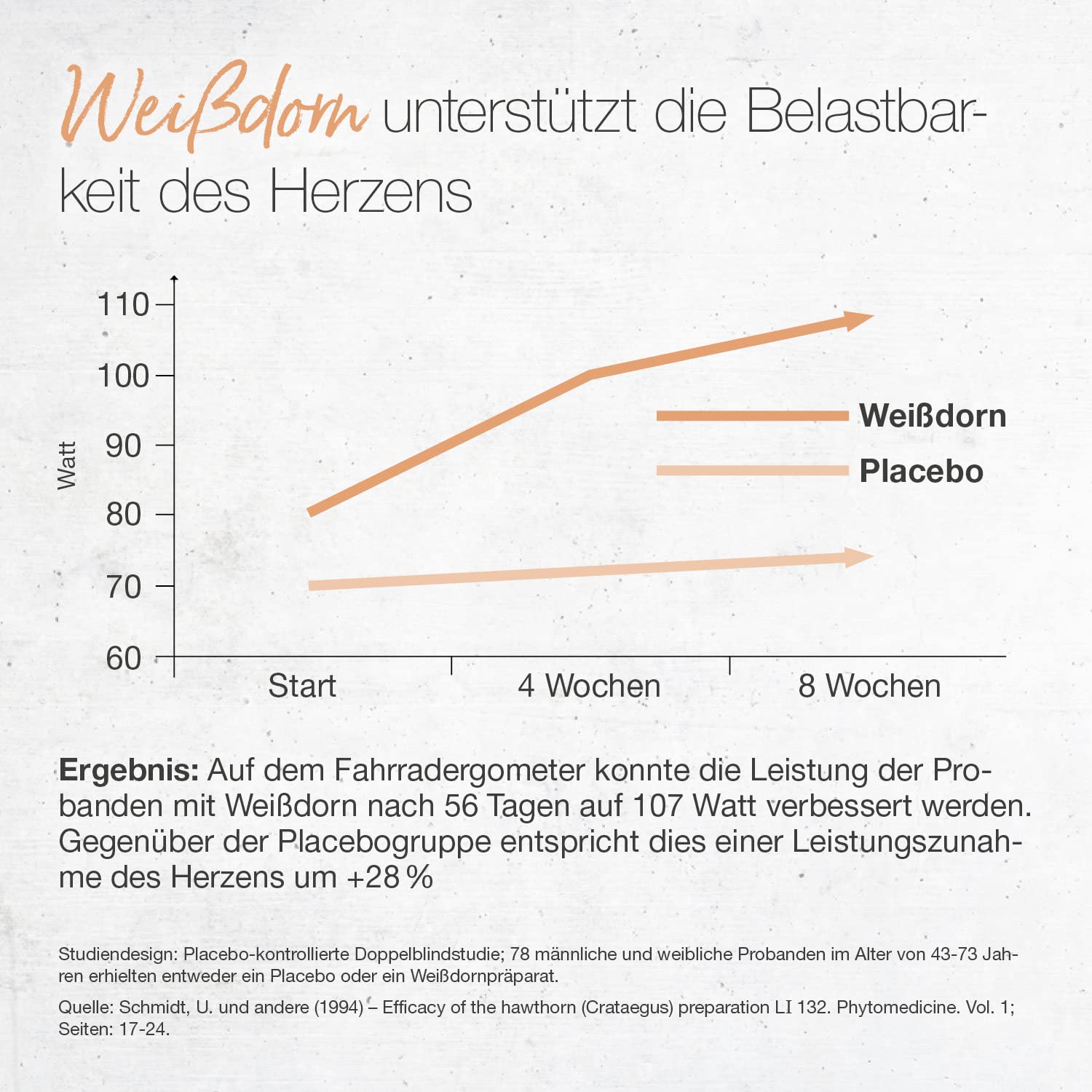 BÄRBEL DREXEL Herz Vital mit Weißdorn, Herzgespannkraut, Melisse, Enzian, Magnesium & Vitaminen (160 Stk) Naturheilkunde Blutdruck Herz-Kreislauf-System Gefäße Cardio
