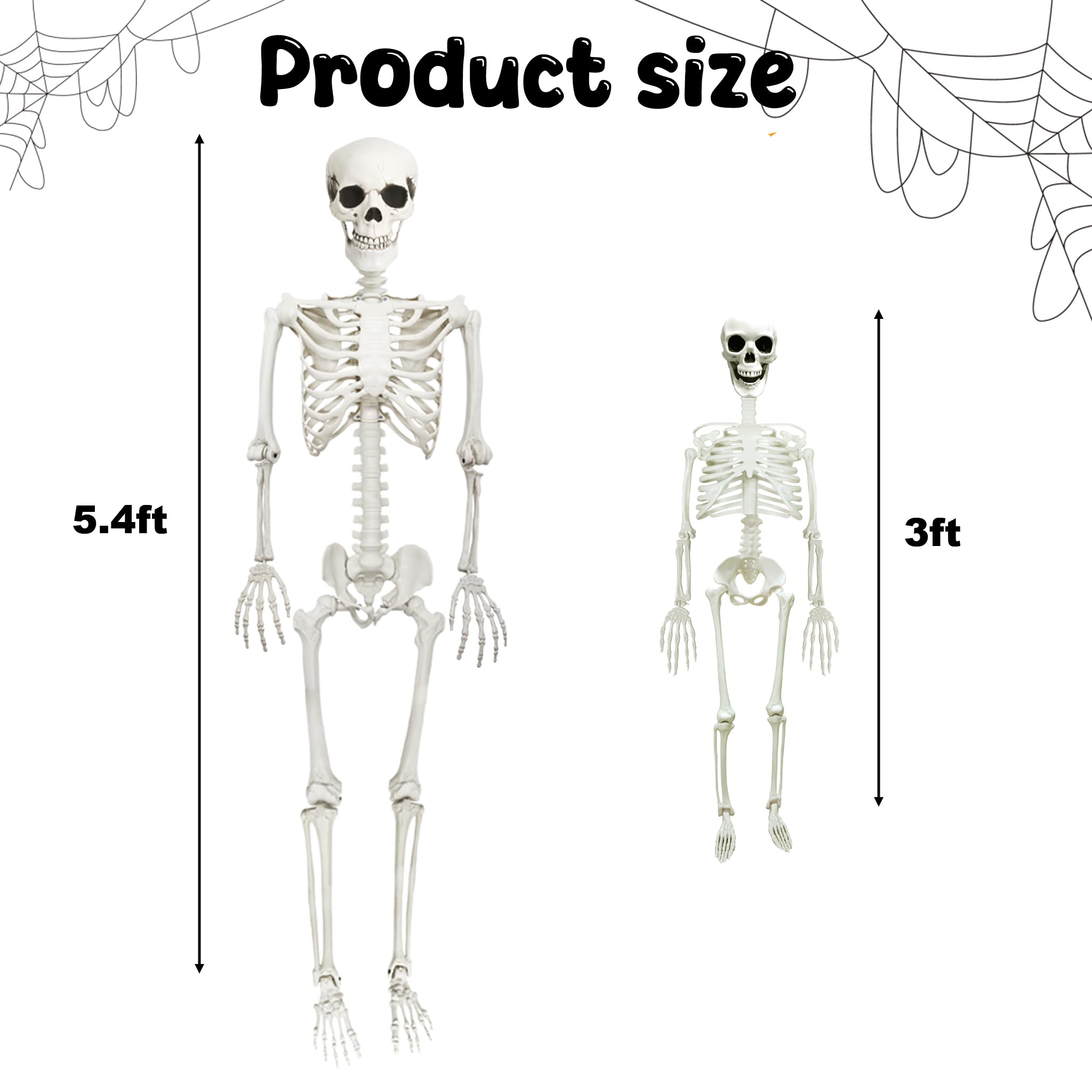 CAMIRUS Szkielet na Halloween, 1,6 m, pełnowymiarowy szkielet ze szkieletem psa, możliwe ludzkie szkielety, realistyczne plastikowe kości na Halloween, nawiedzony dom, straszny wystrój