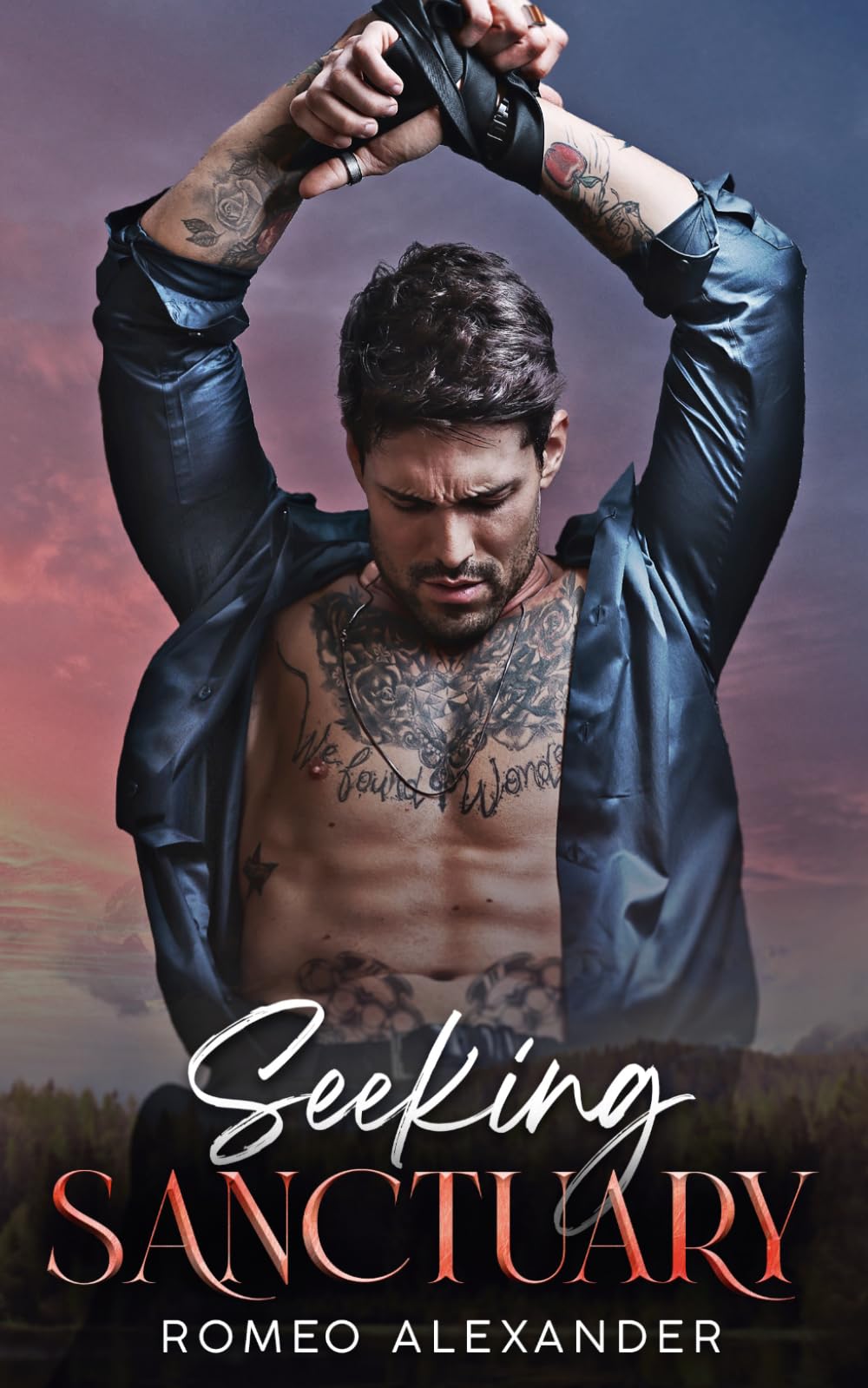 Seeking Sanctuary (Men of Fairlake)