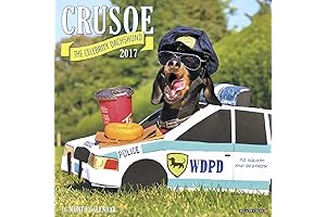 Crusoe the Celebrity Dachshund 2021 Calendar