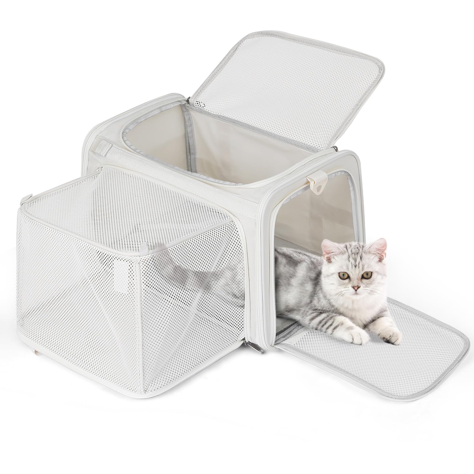 Soft-Sided Cat Carrier Airline Approved